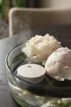 Logotrade werbemittel das Foto: Breevia aufladbarer schwimmender Luftbefeuchter aus RCS rABS