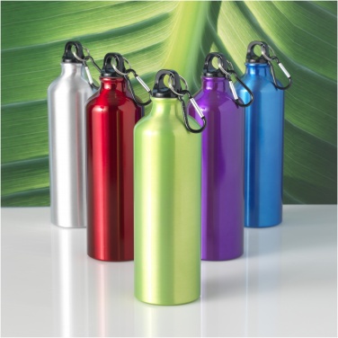 Logo trade corporate gift photo of: Oregon 770 ml aluminium water bottle with carabiner