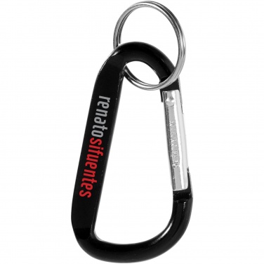 Logo trade promotional giveaway photo of: Timor carabiner keychain