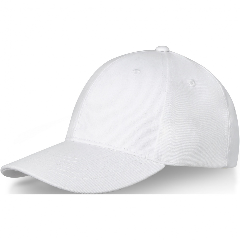 Logo trade promotional item photo of: Davis 6 panel cap