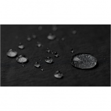 Logotrade promotional gifts photo of: Trailhead GRS recycled lightweight fanny pack 2.5L