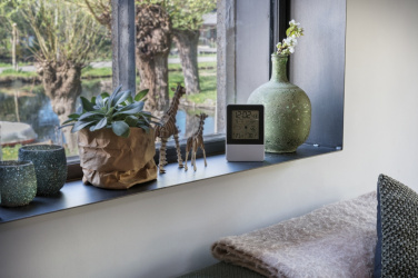 Logotrade promotional giveaway picture of: Indoor/outdoor weather station