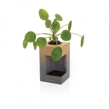 Logotrade advertising product picture of: Avira Alya RCS Re-steel tumbler 300 ml