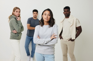 Logotrade promotional giveaway picture of: Iqoniq Denali recycled cotton crew neck undyed