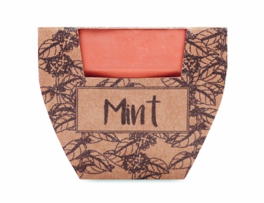 Logo trade promotional products image of: Terracotta pot mint seeds