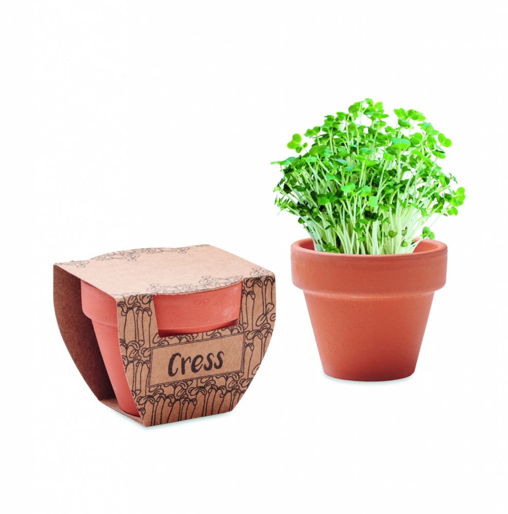 Logo trade corporate gifts image of: Terracotta pot cress seeds