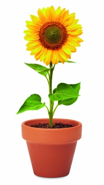 Logotrade promotional gift image of: Terracotta pot 'sunflower'