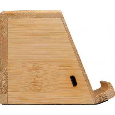 Logotrade business gifts photo of: Induction loudspeaker NUREMBERG