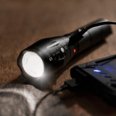 Logotrade promotional giveaway picture of: Flashlight DELGADA Schwarzwolf