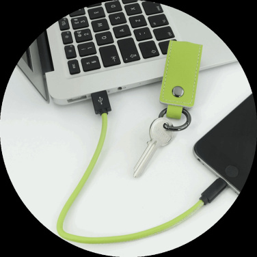 Logo trade business gifts image of: Keyring 59612900