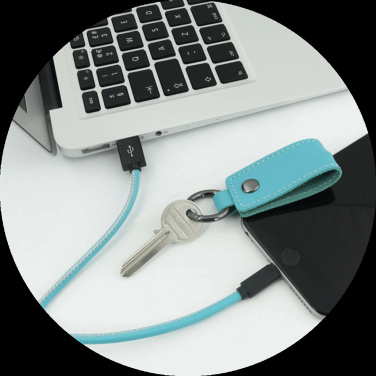 Logotrade promotional giveaways photo of: Keyring 59612900