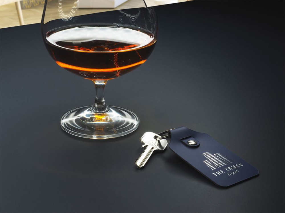 Logotrade promotional giveaway picture of: Keyring 1200094