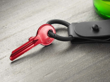 Logo trade promotional item photo of: Keyring 1709094