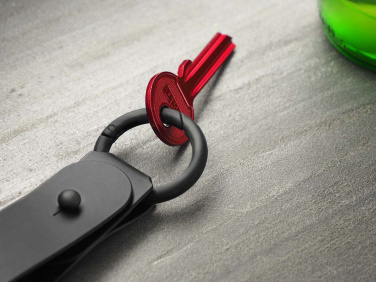 Logotrade business gift image of: Keyring 1709094
