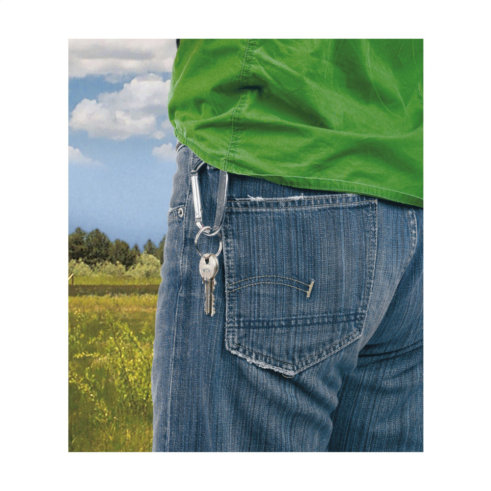 Logotrade promotional merchandise picture of: CarabineKey carabiner hook