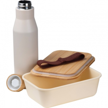 Logo trade promotional products image of: Set Lunchbox with stainless steel bottle Toronto