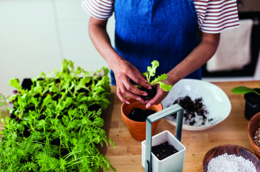 Logotrade promotional giveaway picture of: Indoor garden with LED light