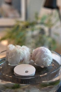 Logotrade promotional merchandise photo of: Breevia RCS rplasic re-chargeable floating humidifier