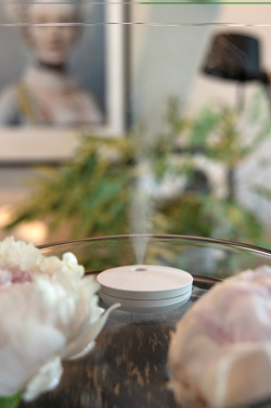 Logotrade promotional merchandise photo of: Breevia RCS rplasic re-chargeable floating humidifier