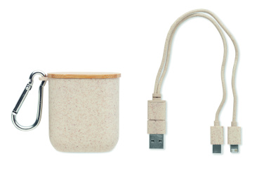 Logotrade corporate gifts photo of: Cable set in case