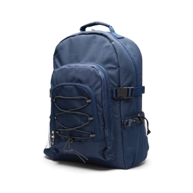 Logotrade promotional giveaway picture of: VINGA Parks cooler backpack