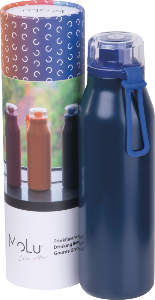 Logo trade promotional products image of: Water bottle Grand Haven MoLu