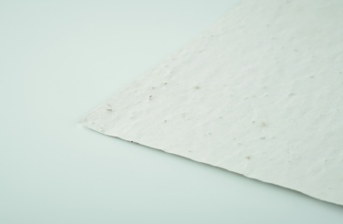 Logotrade firmakingid pilt: A5 metsalilleseemne paberileht