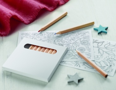 Logo trade meened foto: Värvipliiatsite komplekt