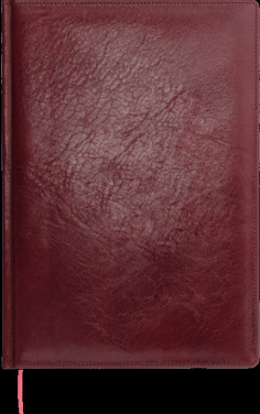 Logotrade reklaamtoote foto: Kalendermärkmik 645131