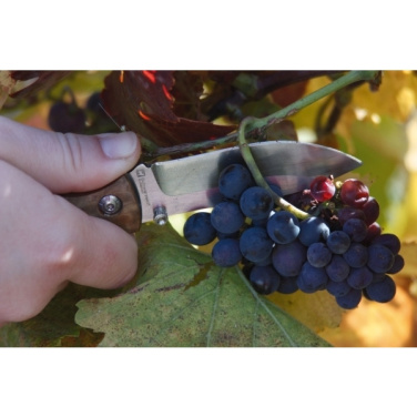 Logotrade mainoslahjat ja liikelahjat tuotekuva: Taskuveitsi JUNGLE Schwarzwolf