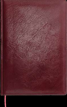 Logo trade liikelahja mainoslahja tuotekuva: Kalenteri 642131