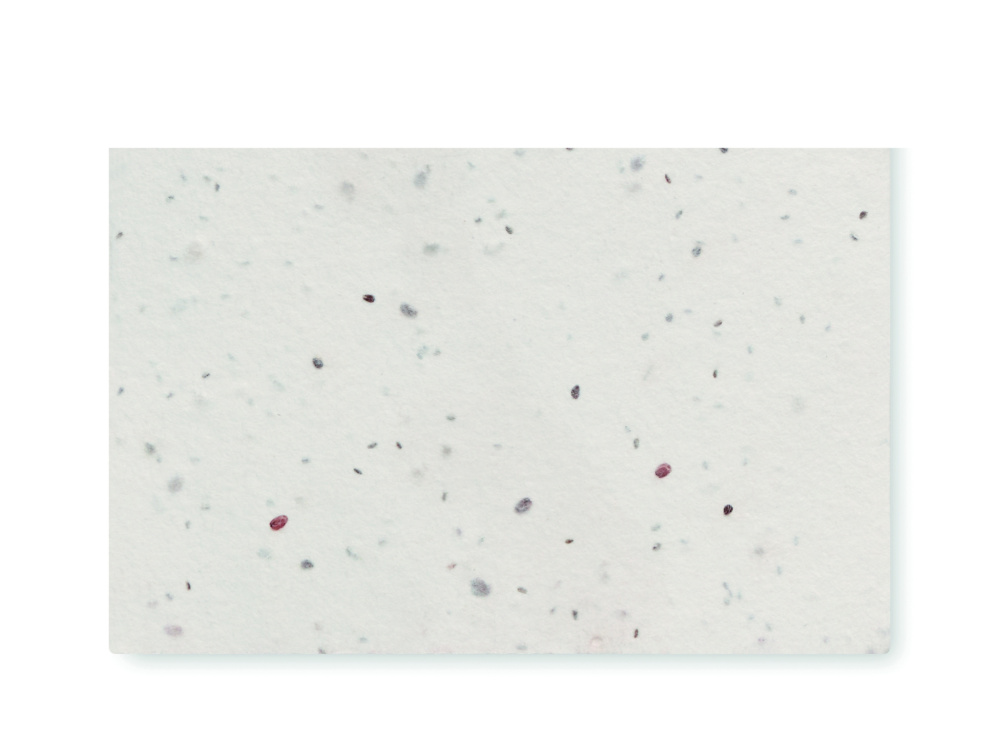 Logo trade mainostuotet tuotekuva: Luonnonkukkien siementen käynti