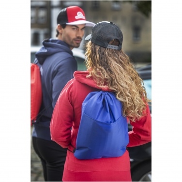 Logotrade ziemassvētku dāvanas foto: Oriole 12 kārbu savelkams aukstuma maiss 5L